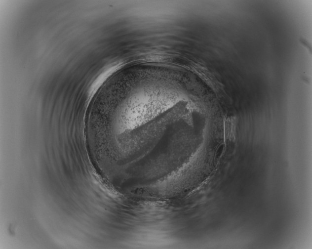 X0000103160147200809051707