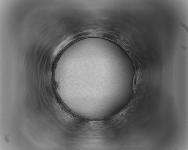 X0000103160150200809051707