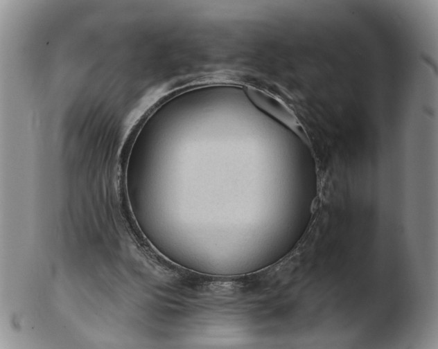 X0000103160152200809051707