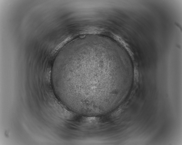 X0000103160153200809051707