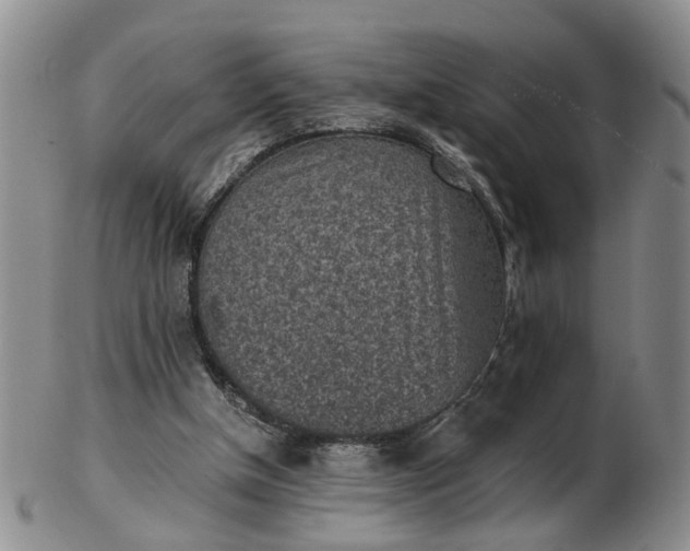 X0000103160154200809051707