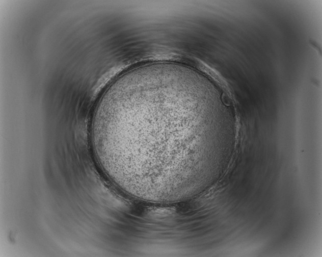 X0000103160155200809051707