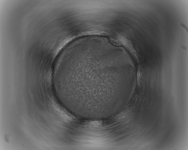 X0000103160156200809051707