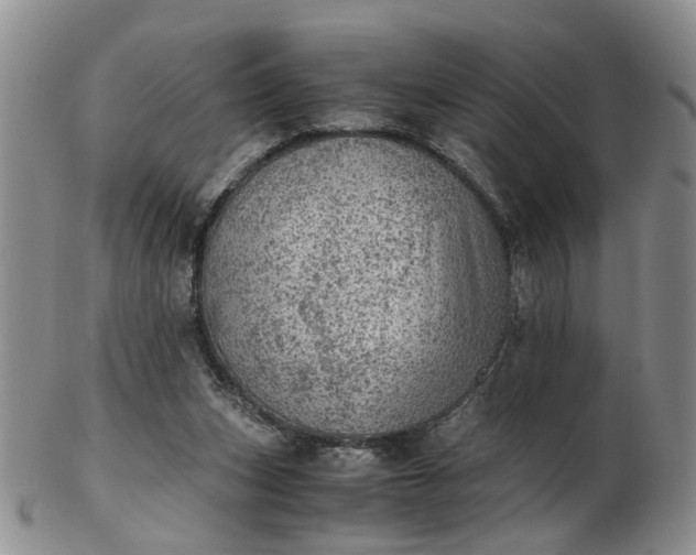 X0000103160159200809051707