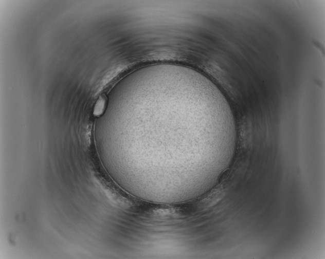 X0000103160160200809051707