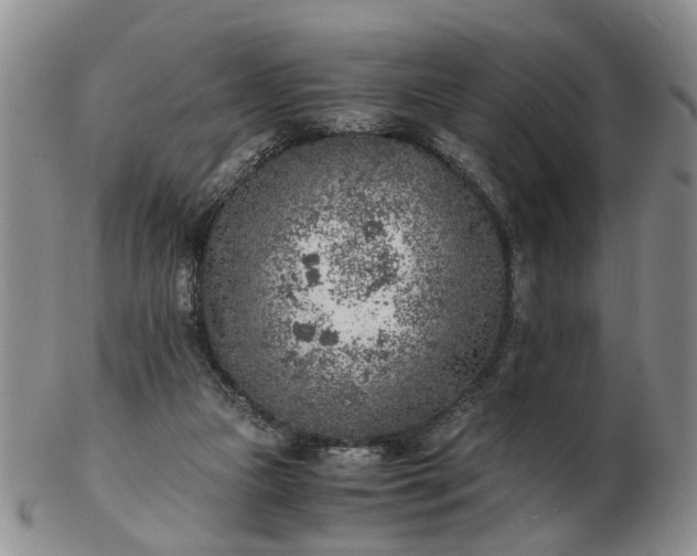 X0000103160161200809051707