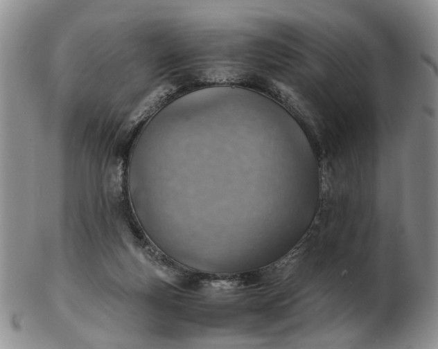 X0000103160163200809051707