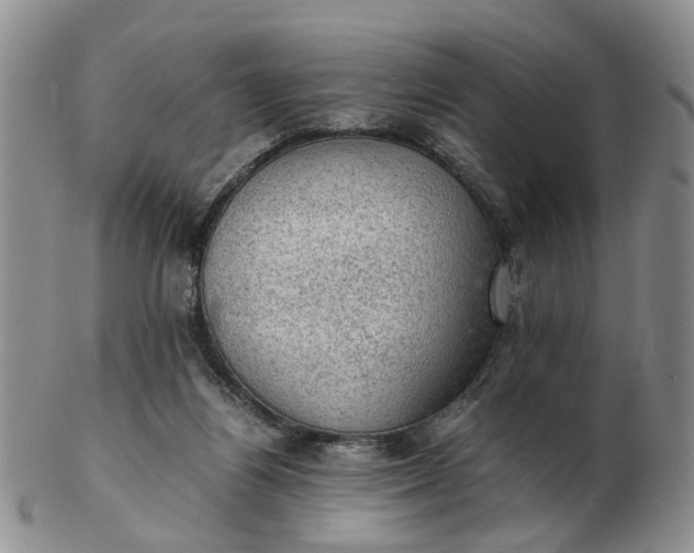 X0000103160164200809051707