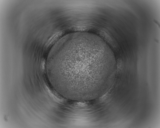 X0000103160166200809051707