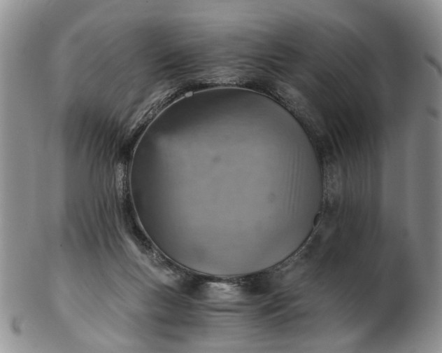 X0000103160167200809051707