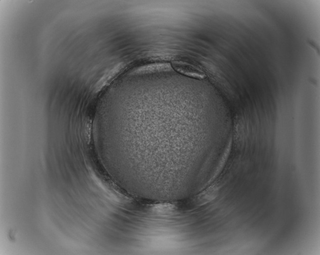 X0000103160168200809051707