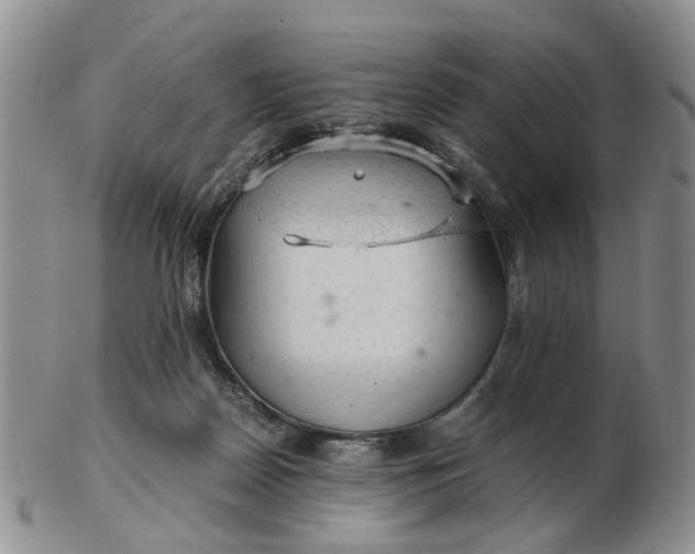 X0000103160170200809051708