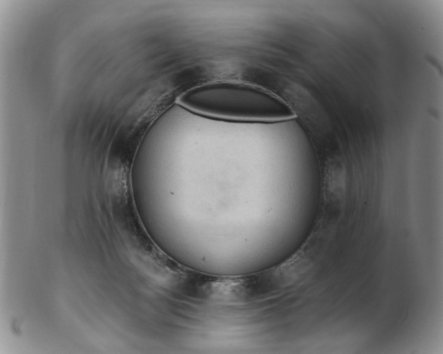 X0000103160172200809051708