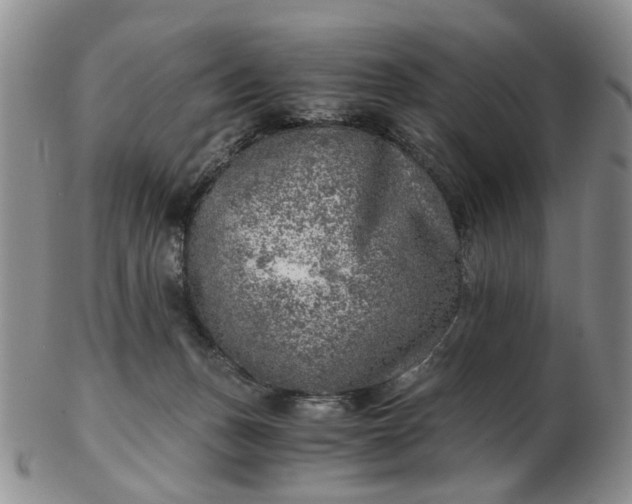 X0000103160175200809051708