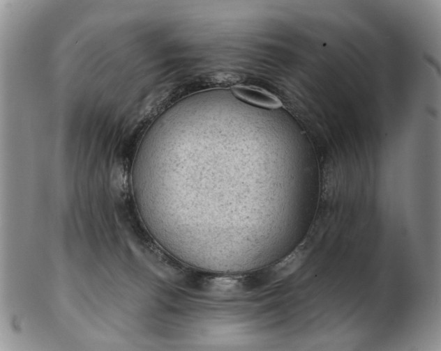 X0000103160176200809051708