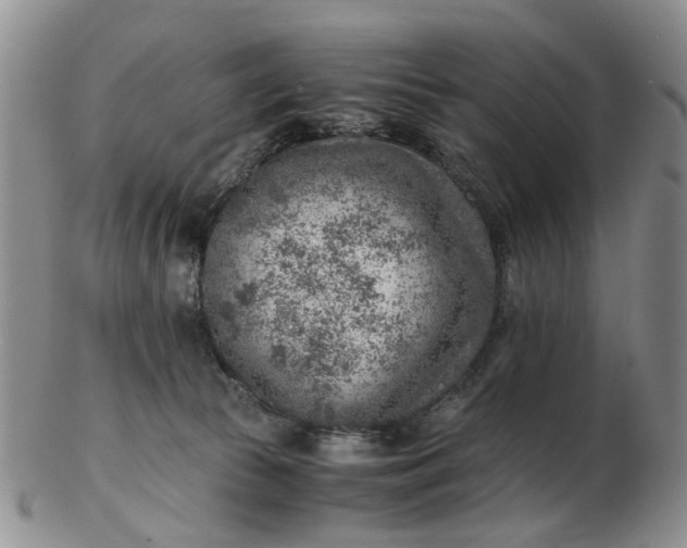 X0000103160177200809051708