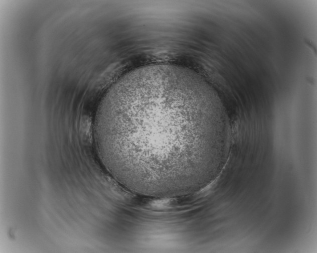 X0000103160178200809051708