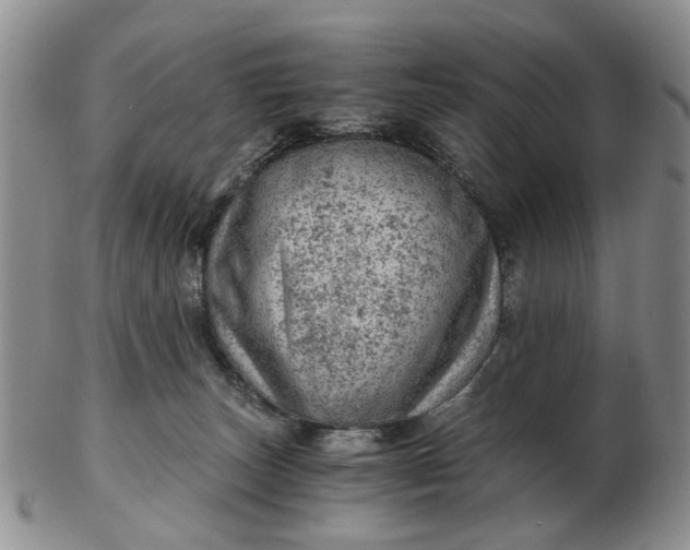 X0000103160179200809051708