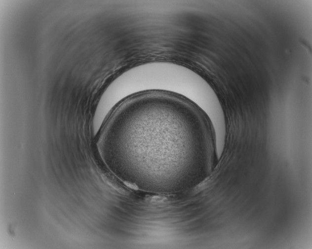 X0000103160180200809051708