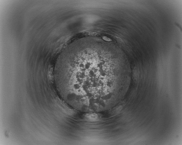 X0000103160181200809051708