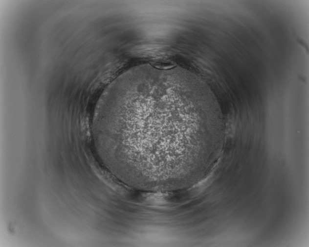 X0000103160182200809051708