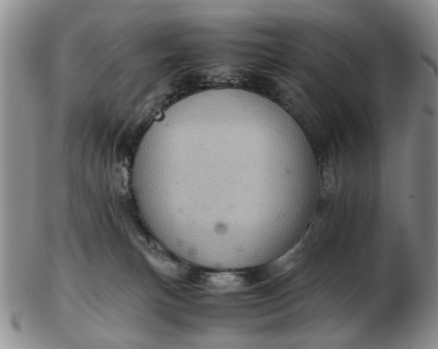 X0000103160183200809051708