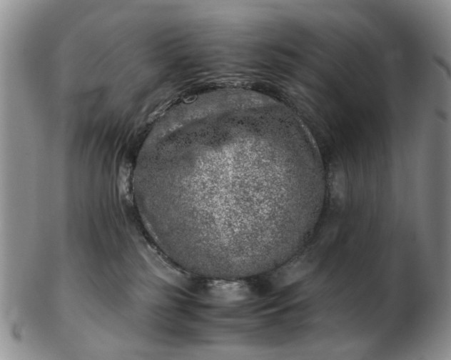 X0000103160185200809051708