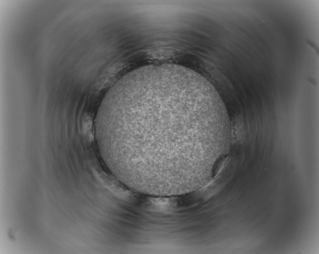 X0000103160187200809051708