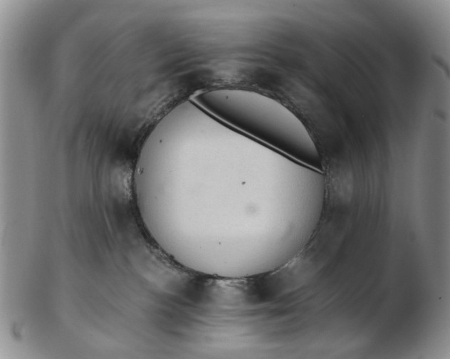 X0000103160188200809051708