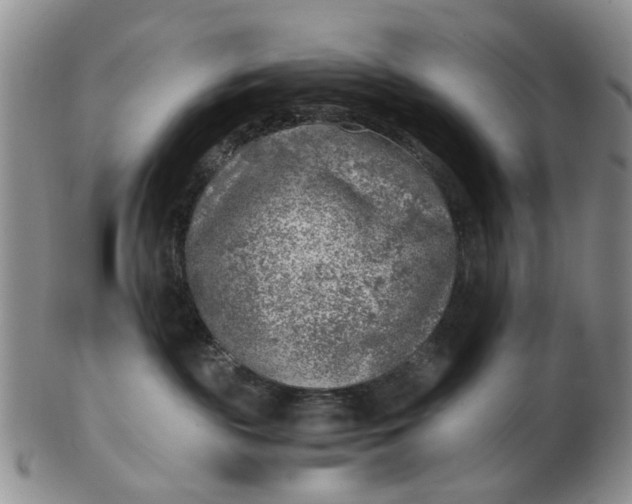 X0000103160189200809051708