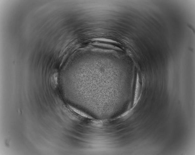 X0000103160190200809051708