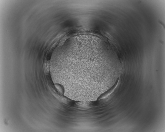 X0000103160191200809051708