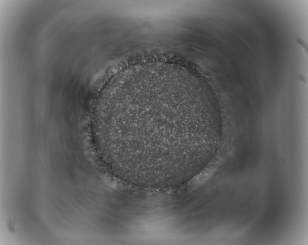 X0000103160192200809051708