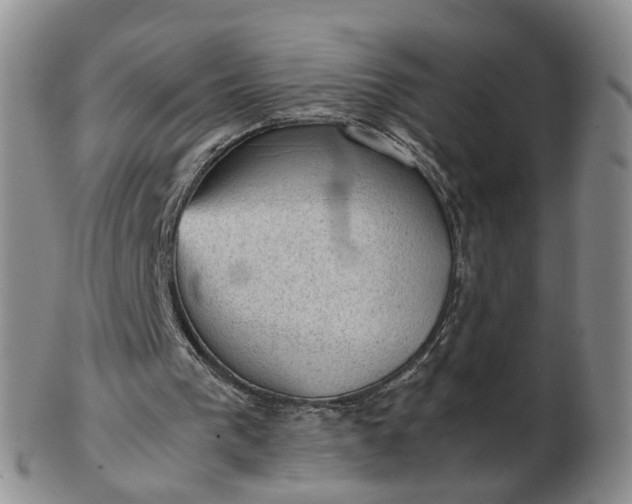 X0000103160193200809051707