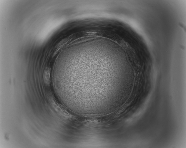 X0000103160194200809051707