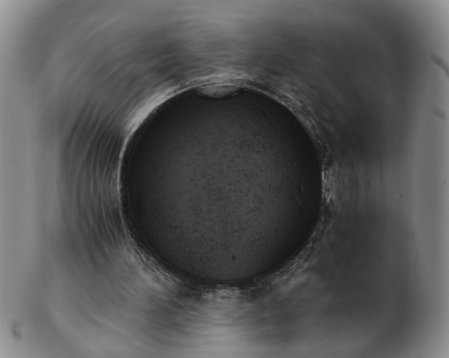 X0000103160196200809051707