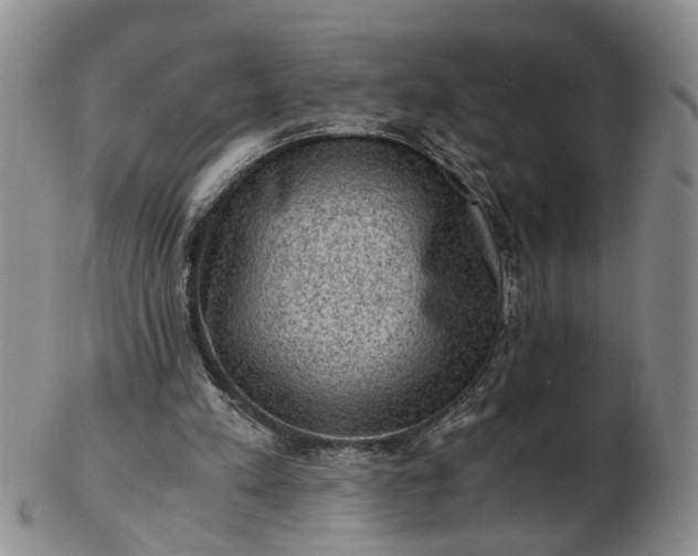 X0000103160197200809051707