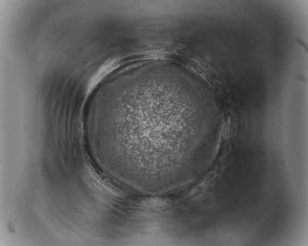 X0000103160198200809051707