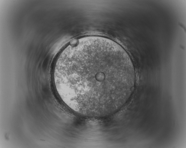 X0000103160199200809051707