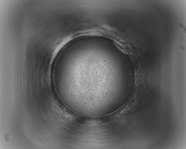 X0000103160200200809051707