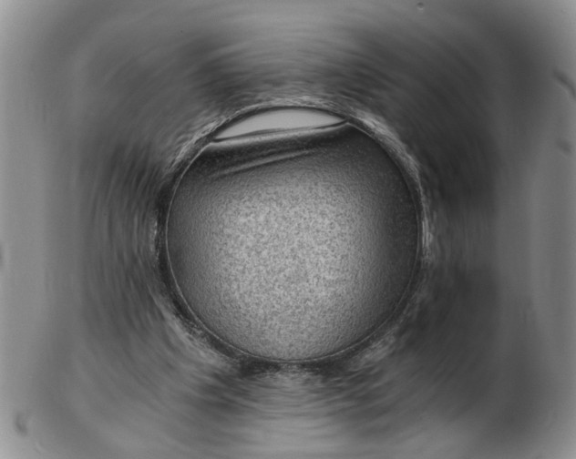 X0000103160201200809051707