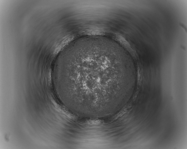 X0000103160202200809051707