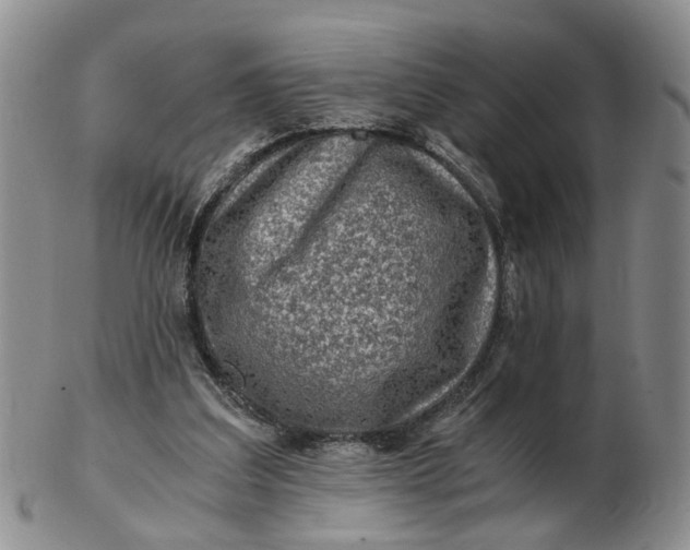 X0000103160203200809051707