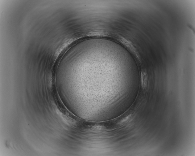 X0000103160204200809051707