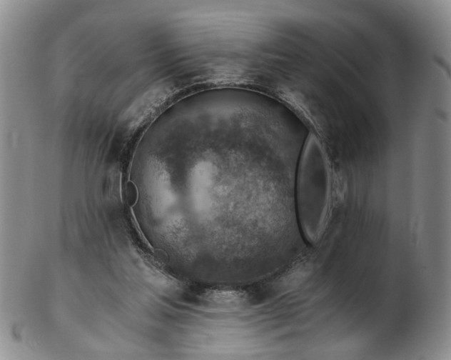 X0000103160205200809051707