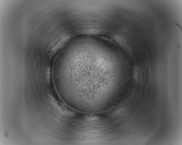 X0000103160206200809051707