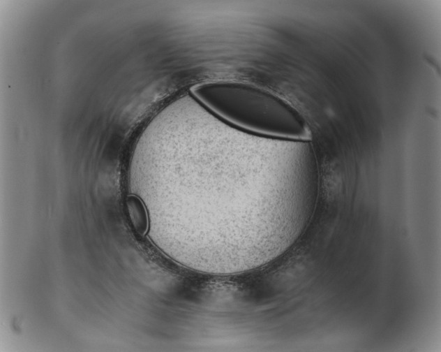 X0000103160207200809051707