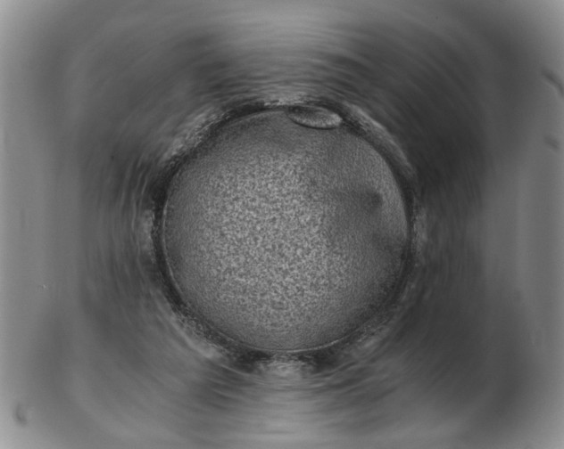 X0000103160209200809051707