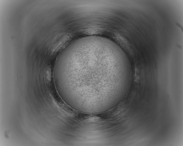 X0000103160210200809051707