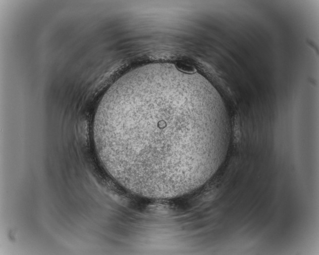 X0000103160211200809051707